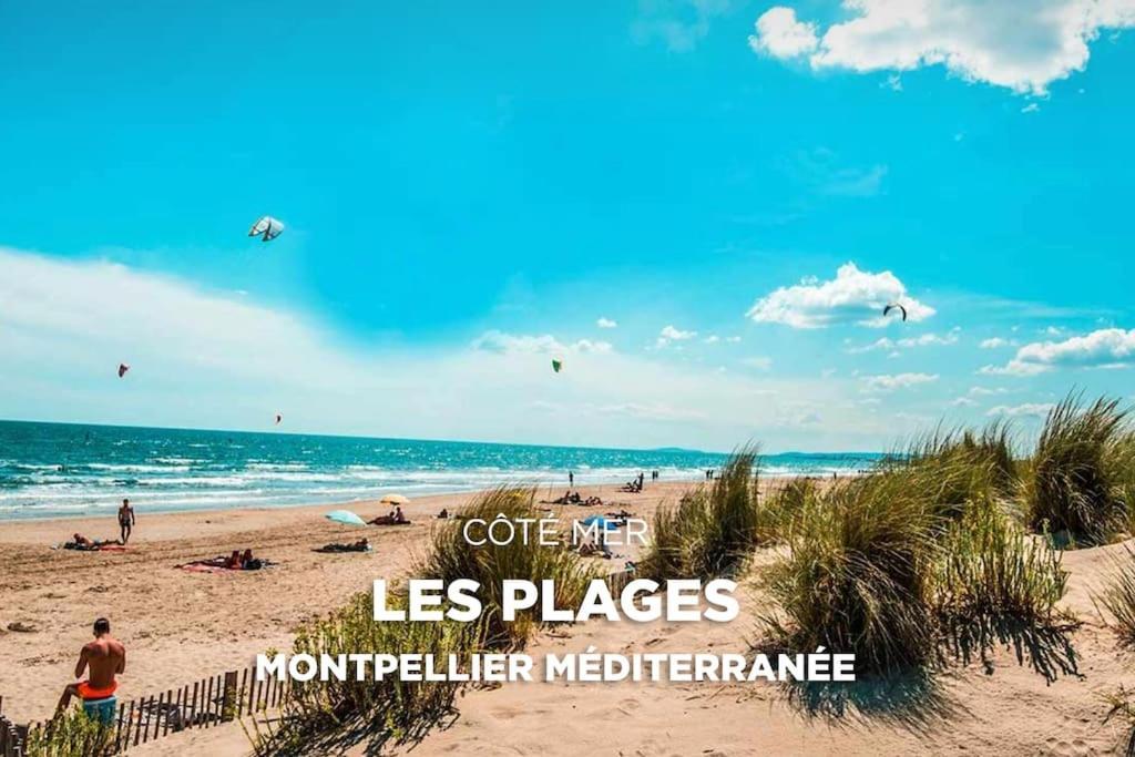 Apartment Between City Center And Beachs Μονπελιέ Εξωτερικό φωτογραφία